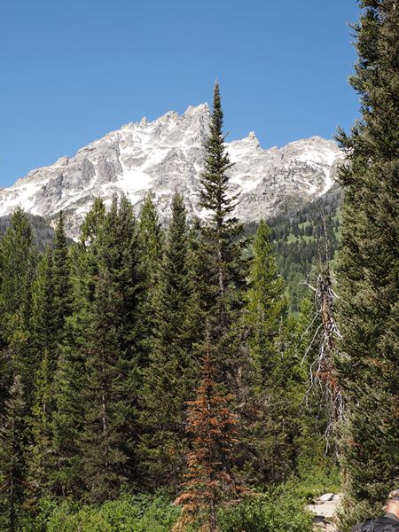 Grand Teton NP